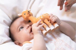 Alternative view of Sophie la girafe - Fanfan the fawn