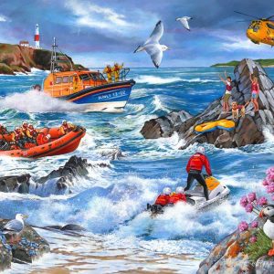 Against The Tide 1000 Piece Puzzle