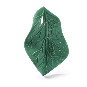 Alternative view of Chlorophyll Leaf