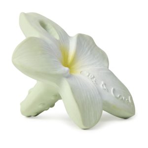 Alternative view of Bali the Flower