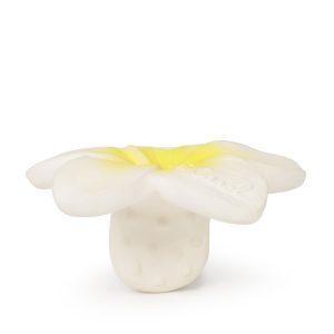Alternative view of Hawaii the Flower