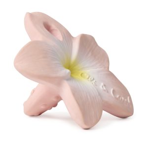 Alternative view of Bella the Flower