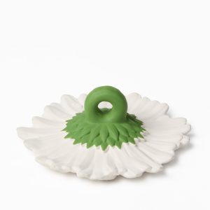 Alternative view of Margarita the Daisy