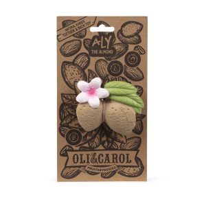 Alternative view of Aly the Almond