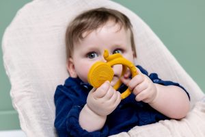 Alternative view of Trixie Sensory teether