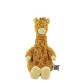 Mr. Giraffe